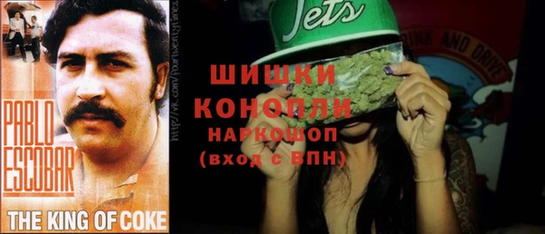 шишки Балабаново