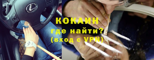 шишки Балабаново