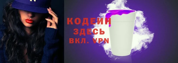 крисы Слюдянка