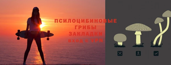 шишки Балабаново