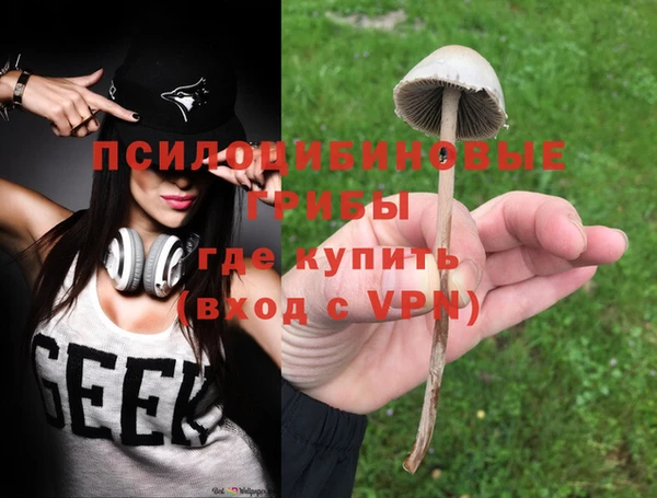 шишки Балабаново