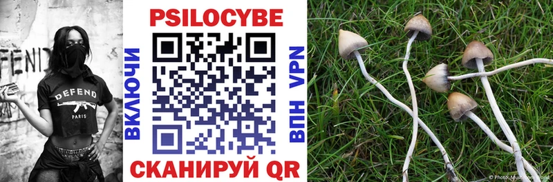 купить наркотики цена  Нолинск  Псилоцибиновые грибы GOLDEN TEACHER 