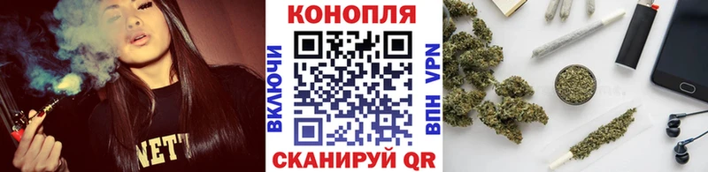 Конопля семена  ссылка на мегу ссылка  Нолинск 